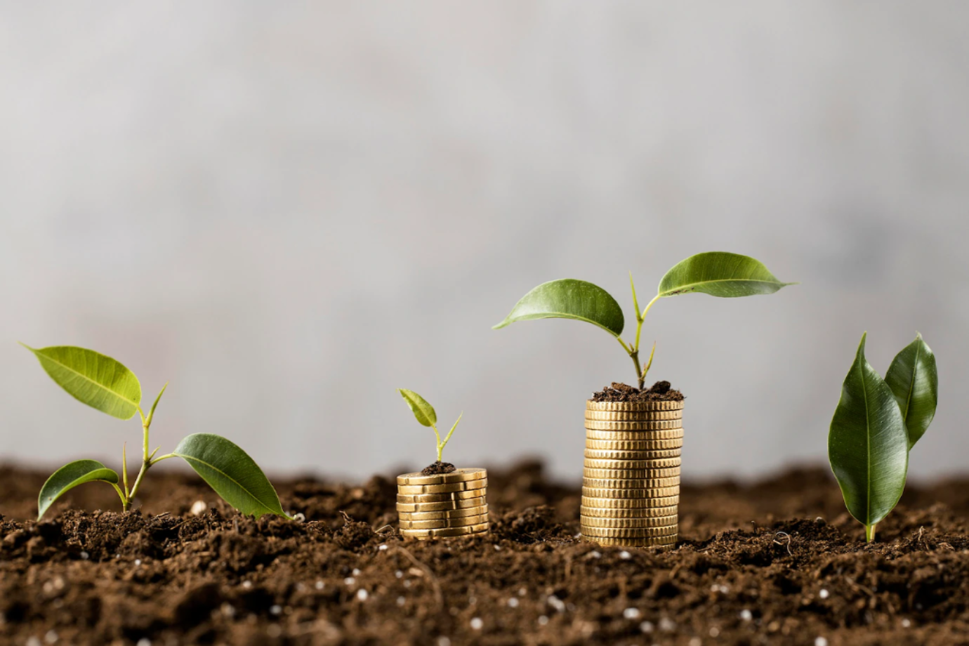 Savings Image